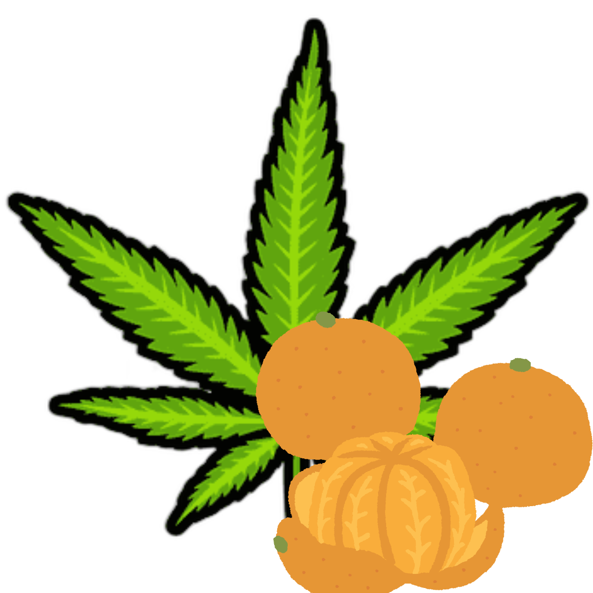 Cannabis mandarine