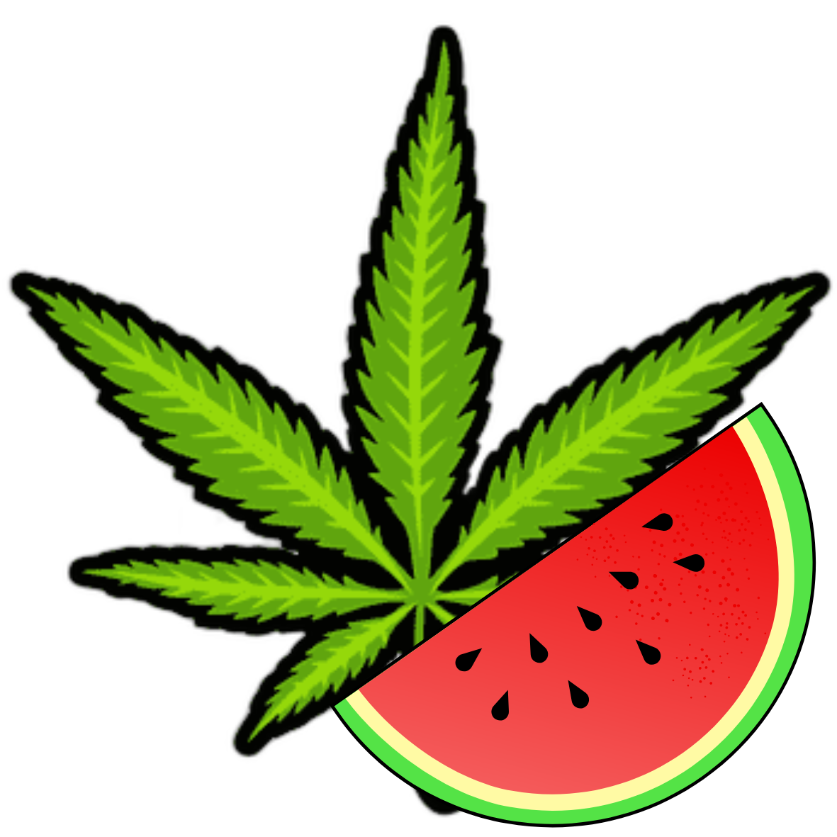 Cannabis water melon