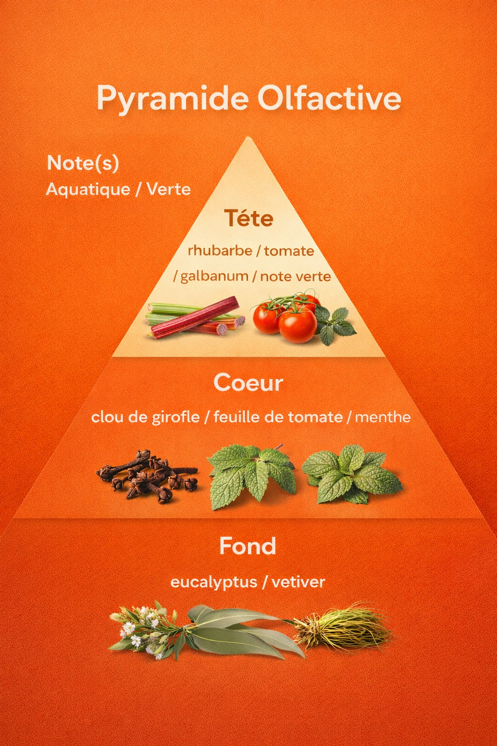 Feuille de tomates