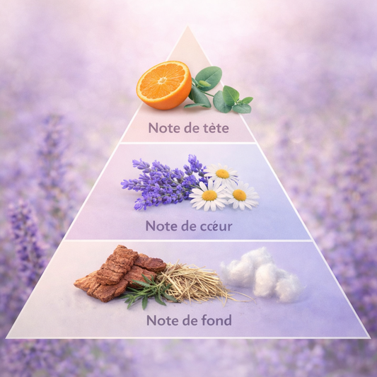 Huggies Lavande & Camomille