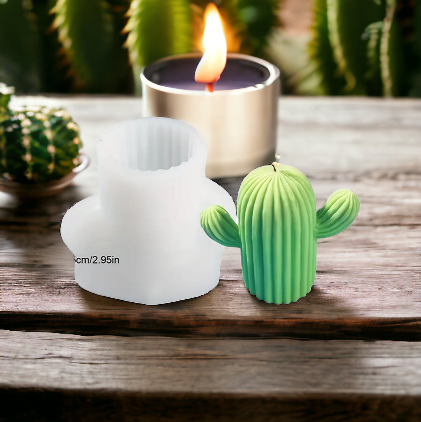 Moule silicone forme de cactus