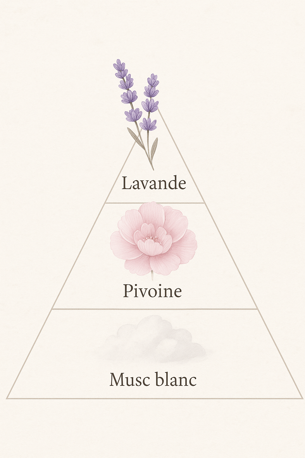 Sérénité Florale : Favorise la détente et le sommeil