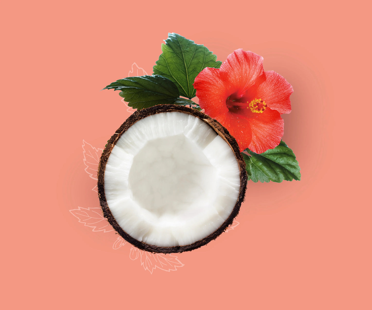 Coco hibiscus