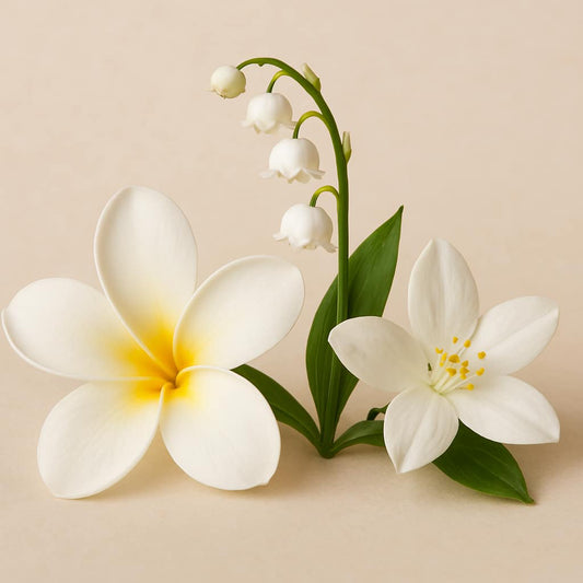 Monoï muguet jasmin