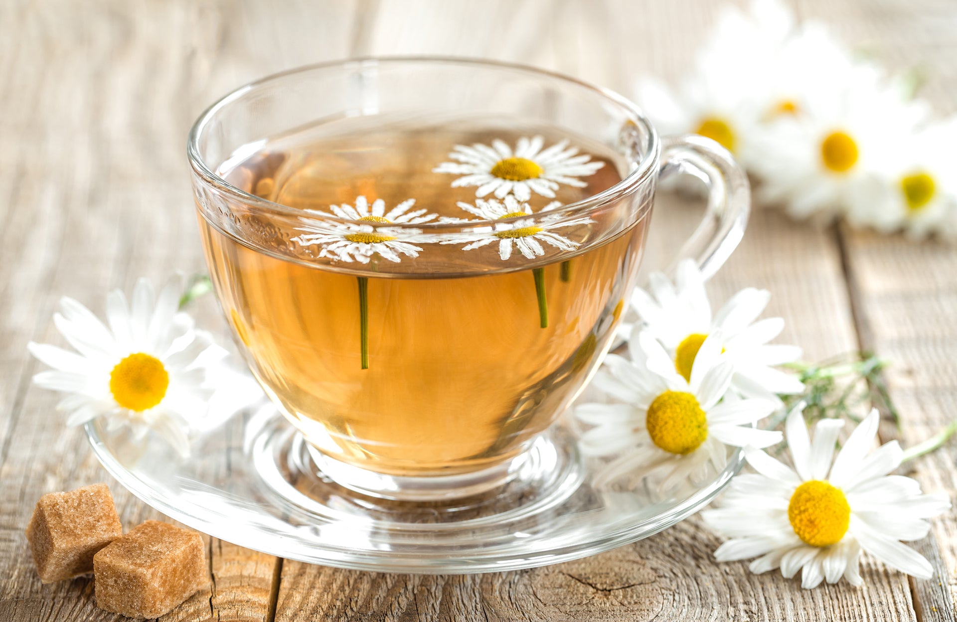 Thé à la camomille