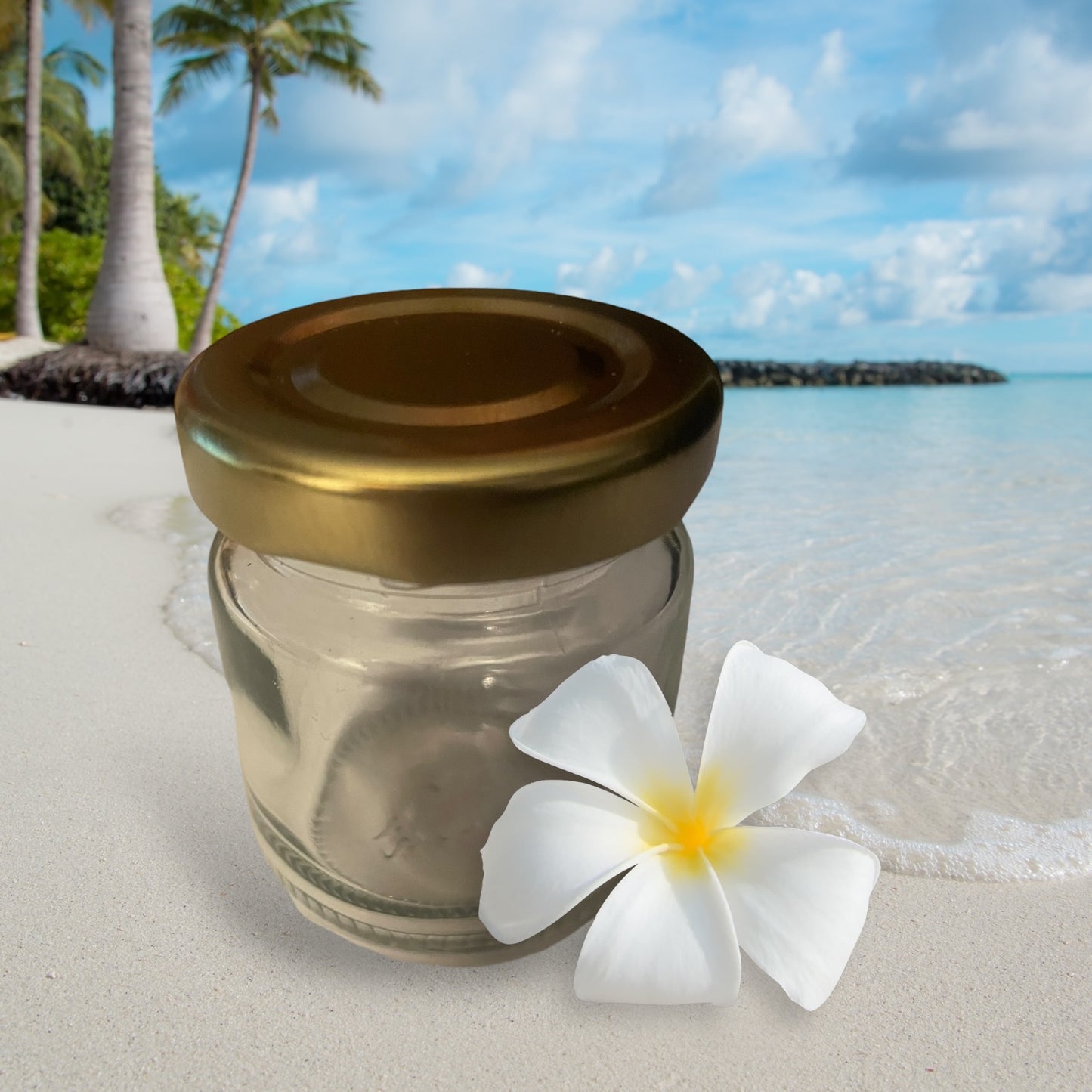 Petit pot de 40ml style petit pot de miel