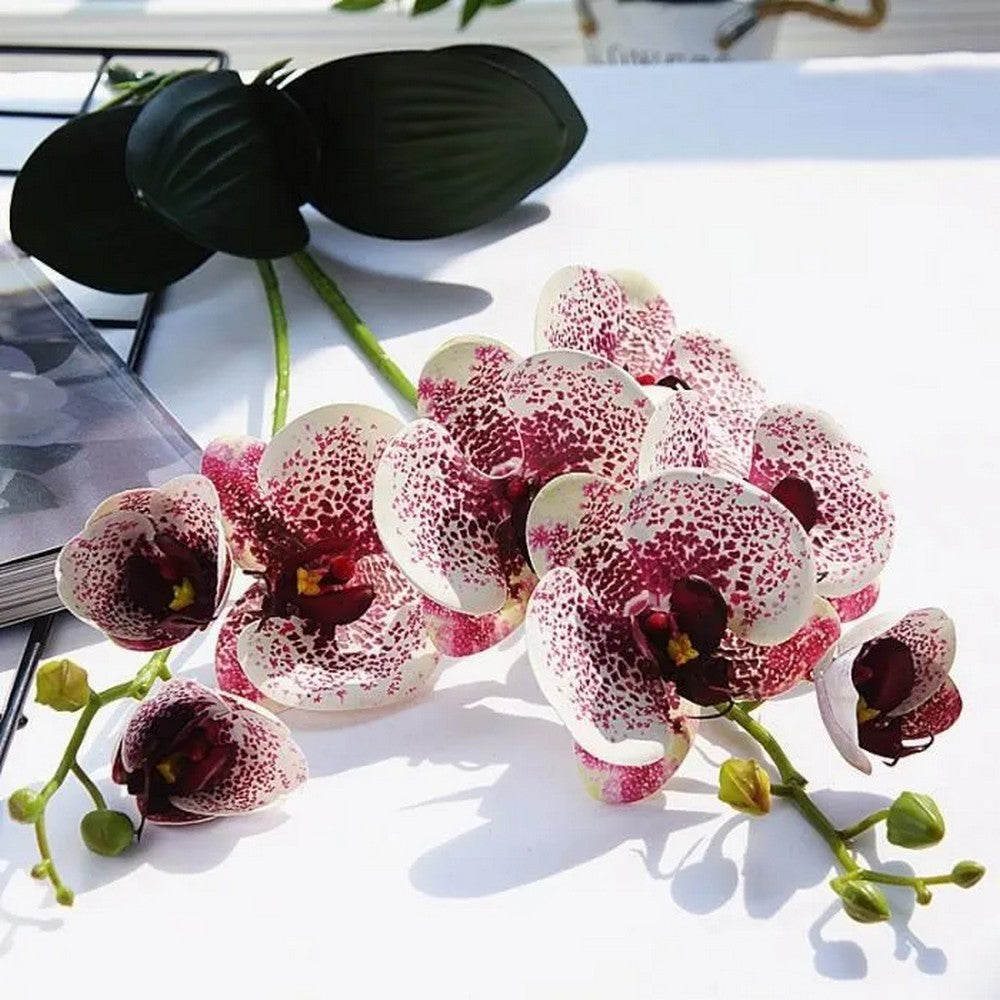 Orchidée brésilienne et fruit de la passion