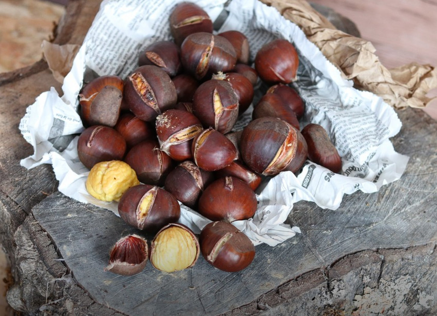 Marron chaud