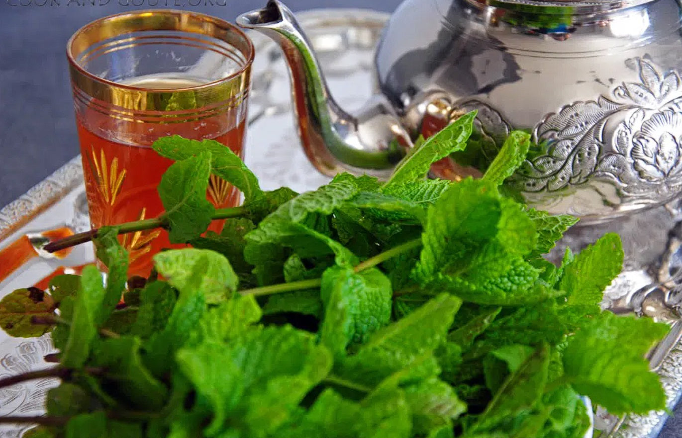 Menthe marocaine