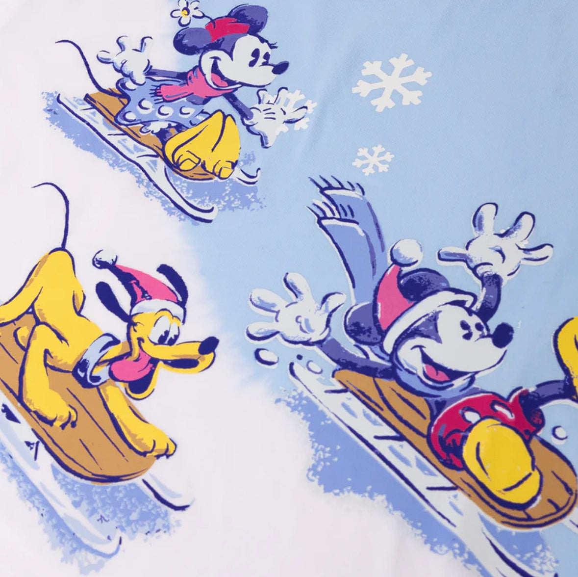 Mickey's winter wonderland - DisneyWorld