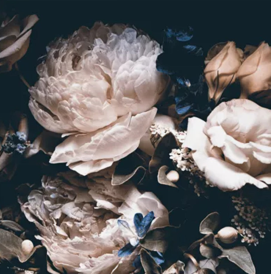 Pivoine & oud