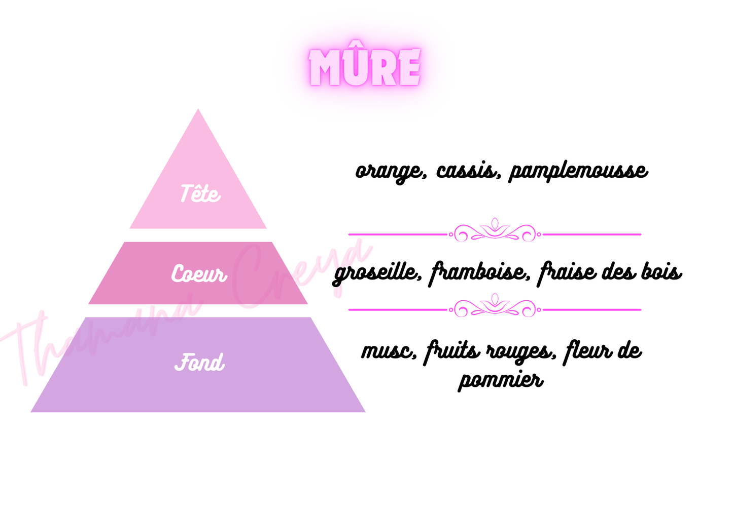 Mûre