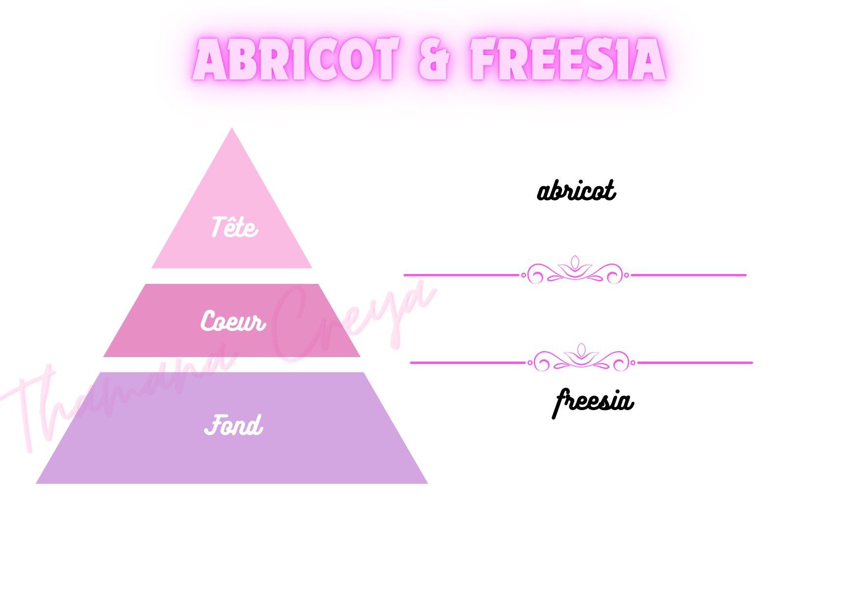 Abricot et freesia
