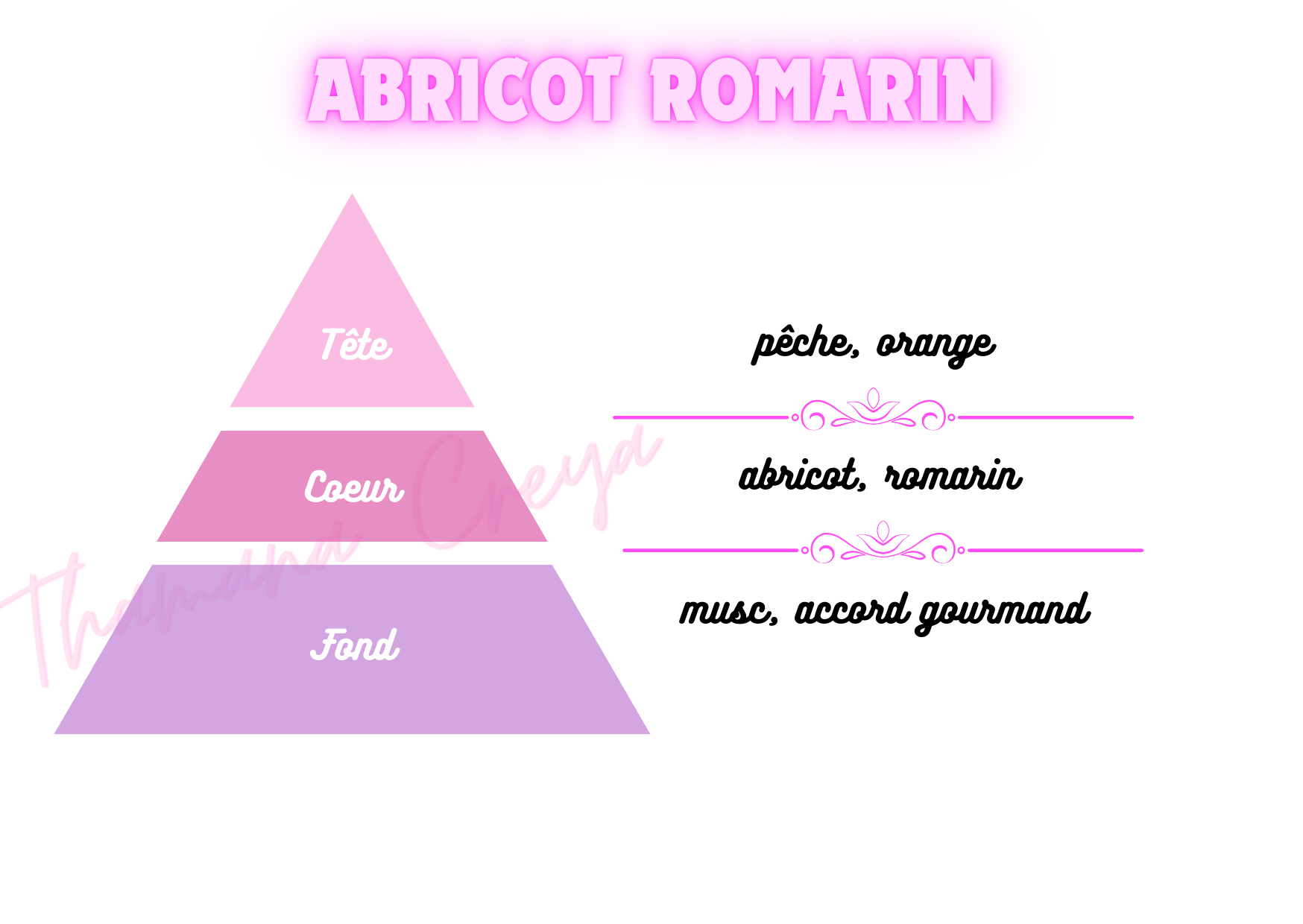 Abricot romarin