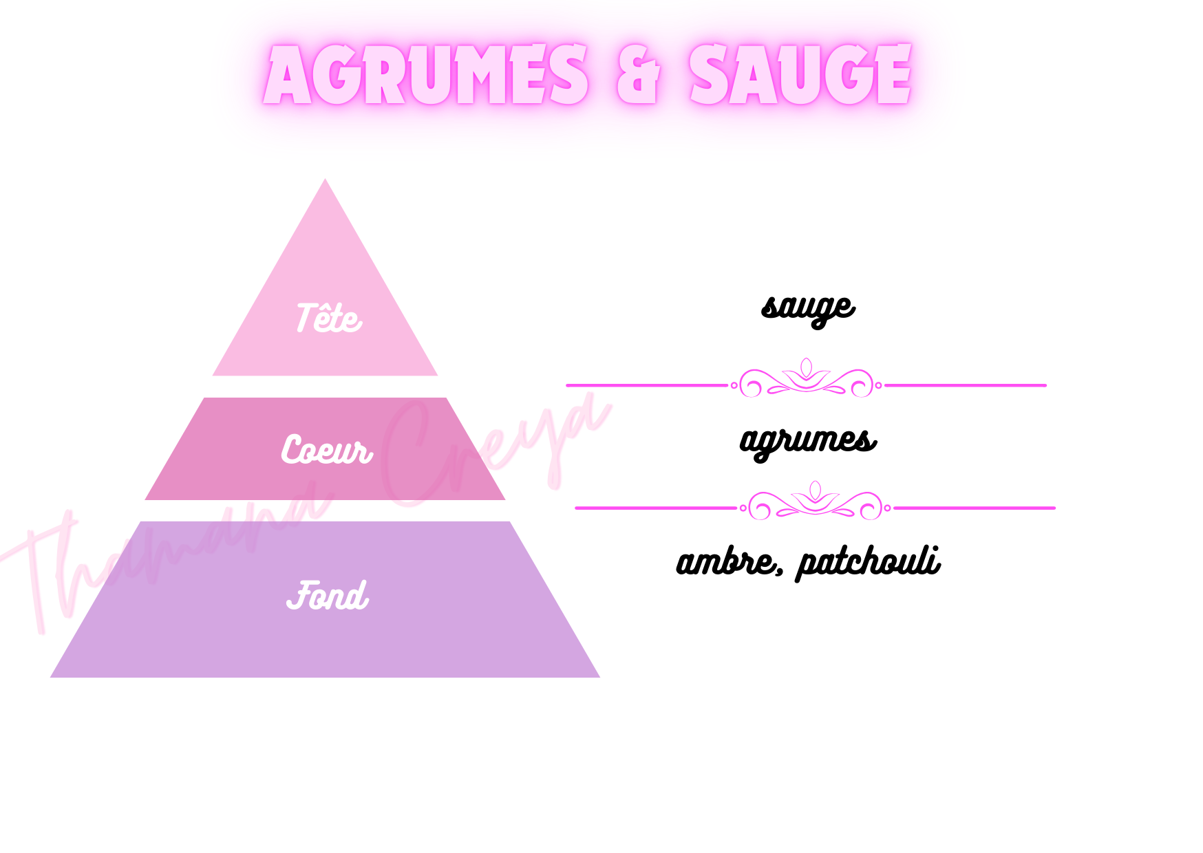 Agrumes & sauge
