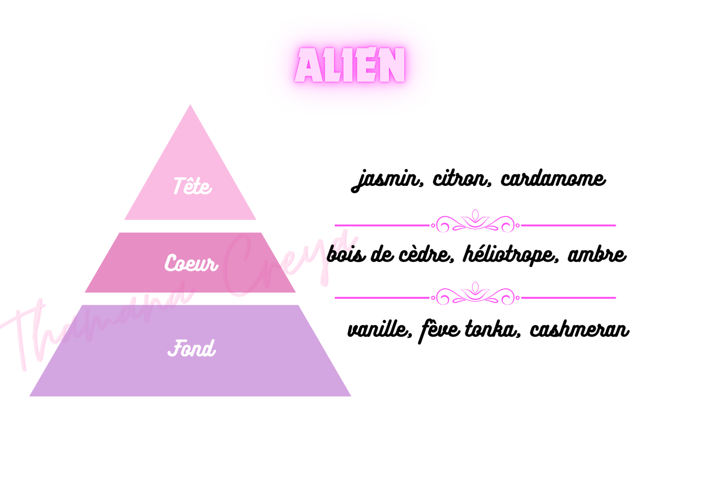 Alien / N°Lot: TC26028