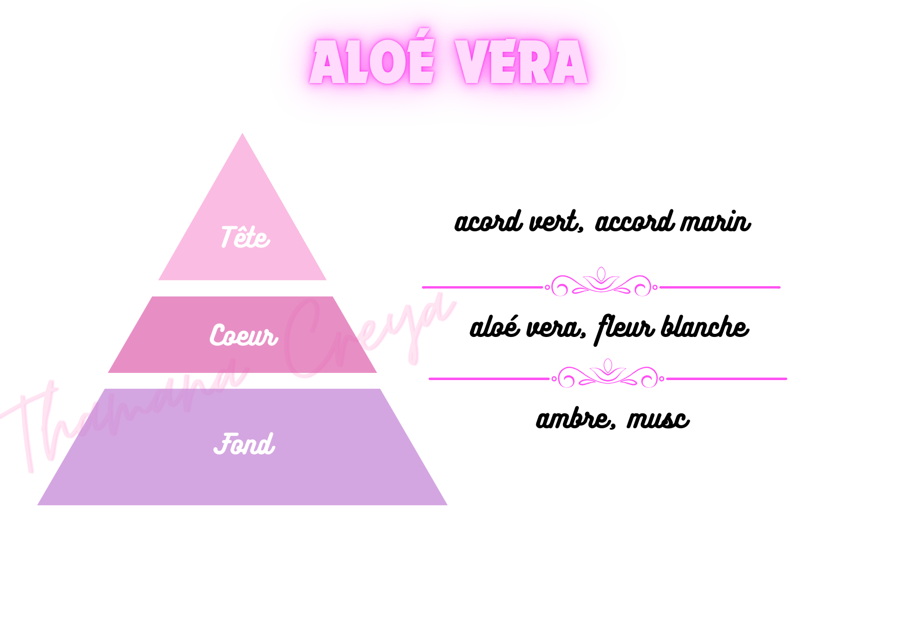 Aloé vera