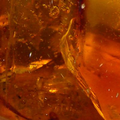 Eau d'ambre