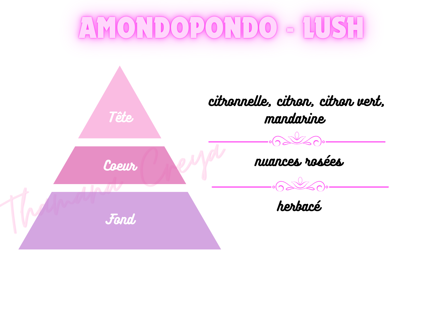 Amondopondo - Lush