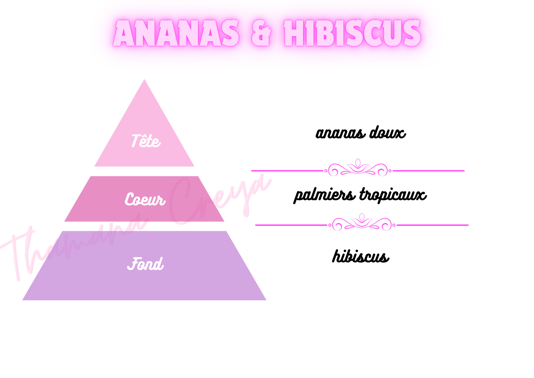 Ananas & hibiscus