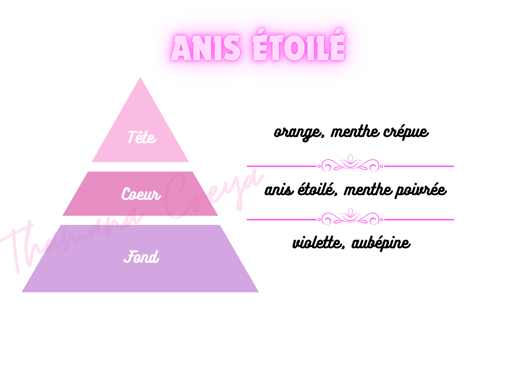 Anis étoilé