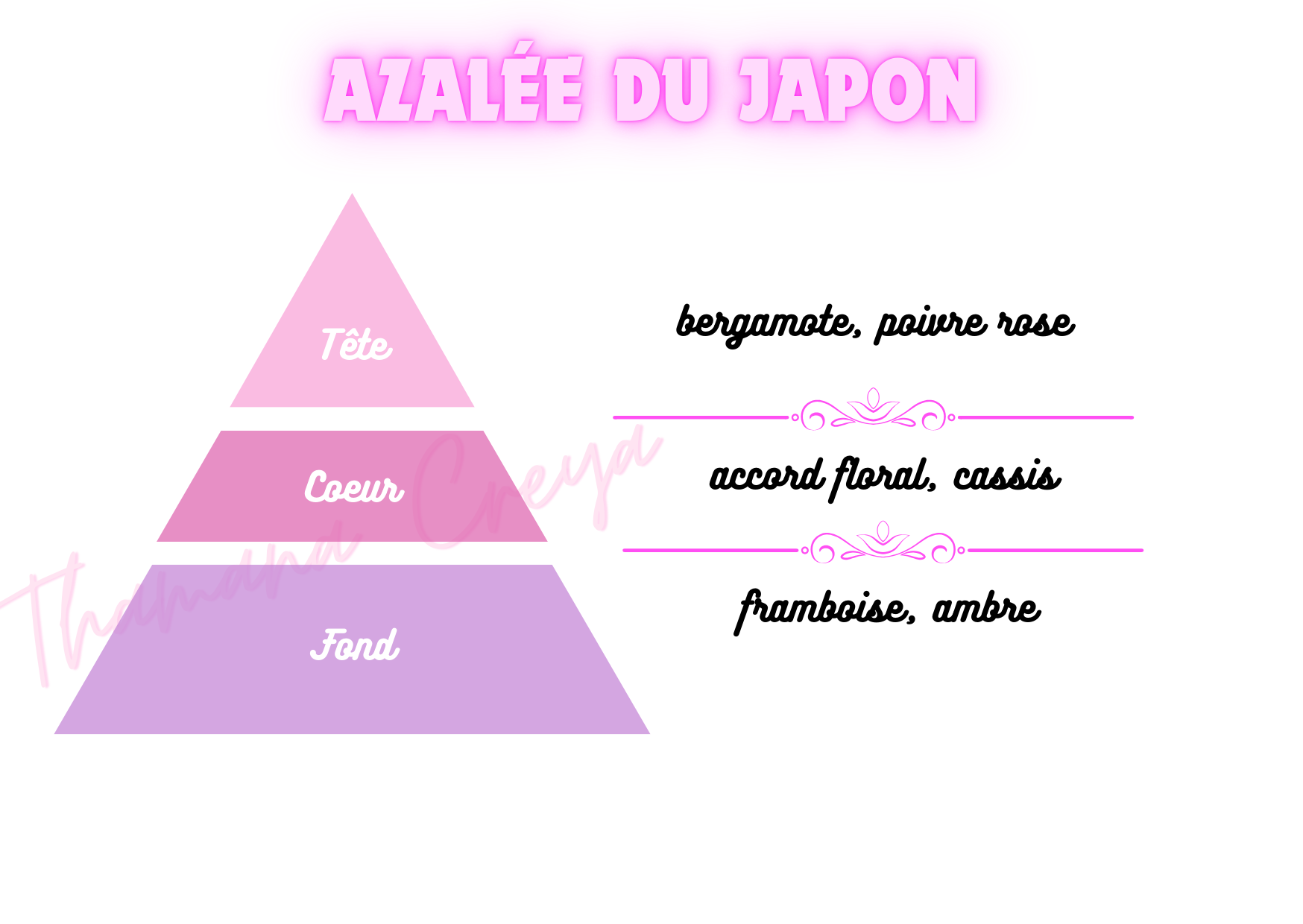 Azalée du Japon