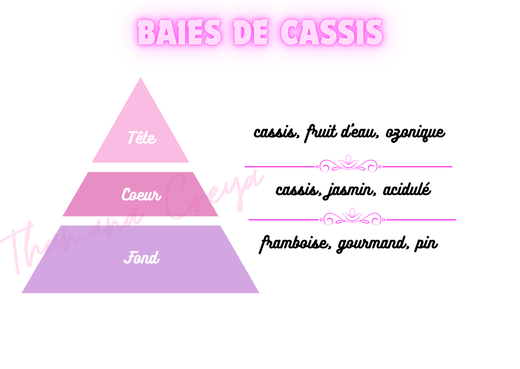 Baies de cassis