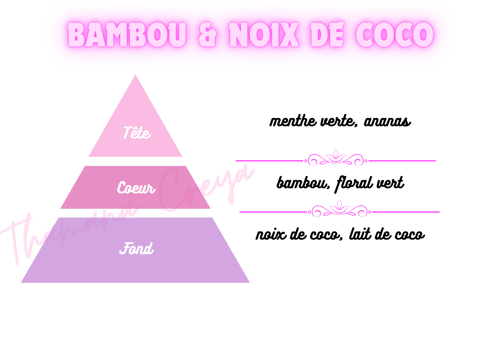 Bambou & noix de coco