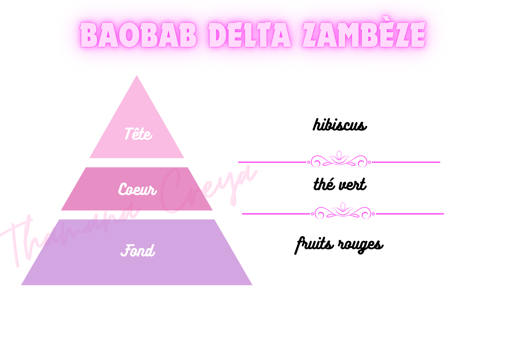 Baobab Delta Zambèze