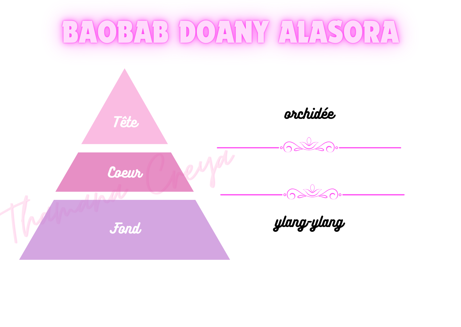 Baobab Doany Alasora