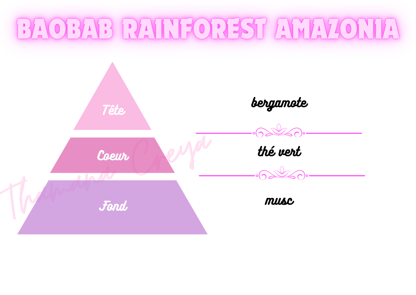 Baobab Rainforest Amazonia