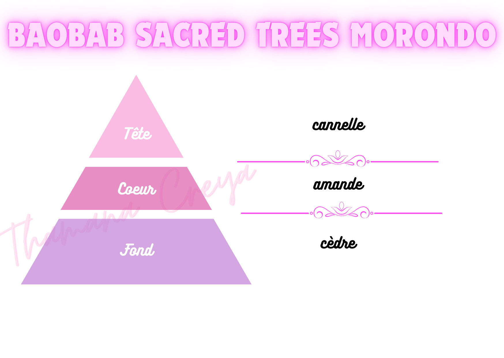 Baobab sacred trees morondo