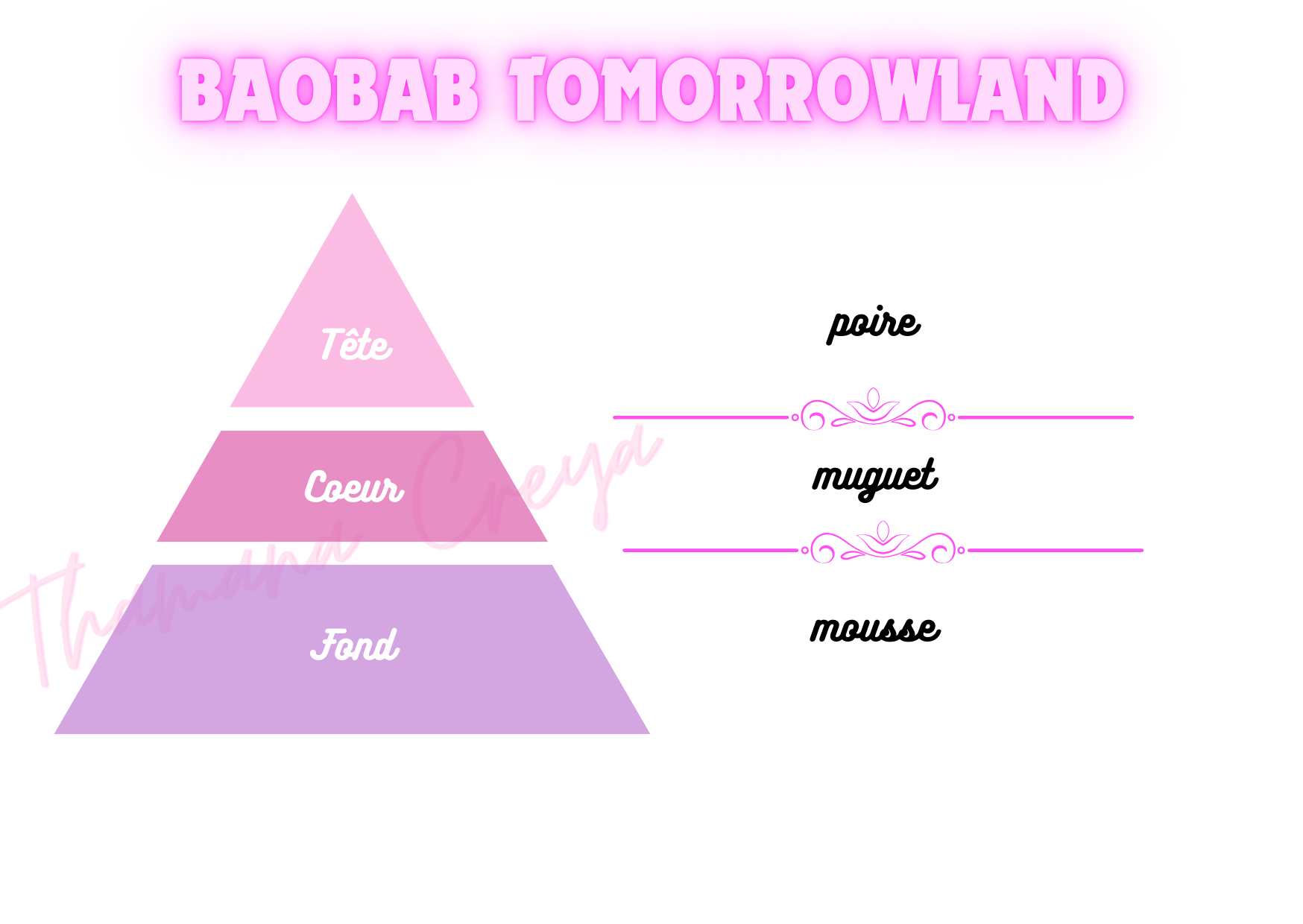 Baobab Tomorrowland