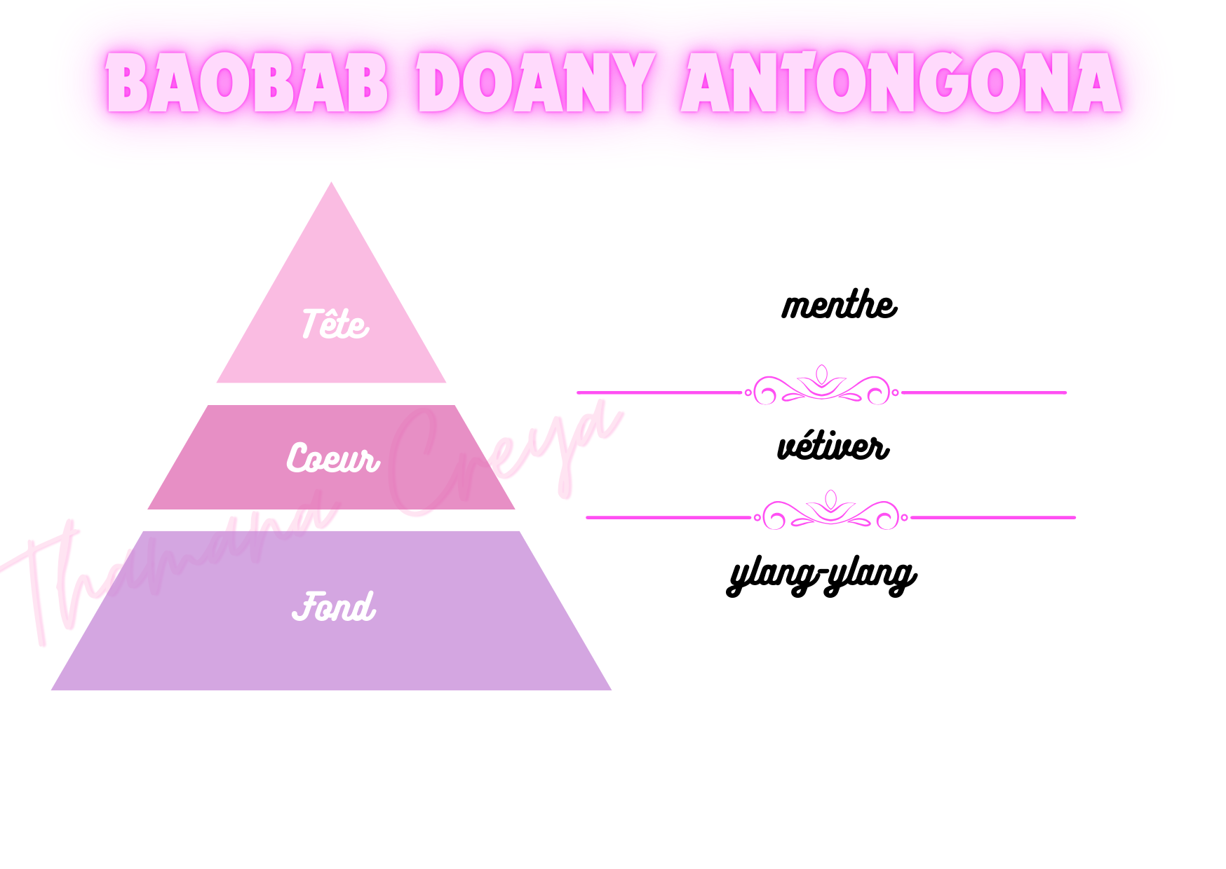 Baobab doany antongona
