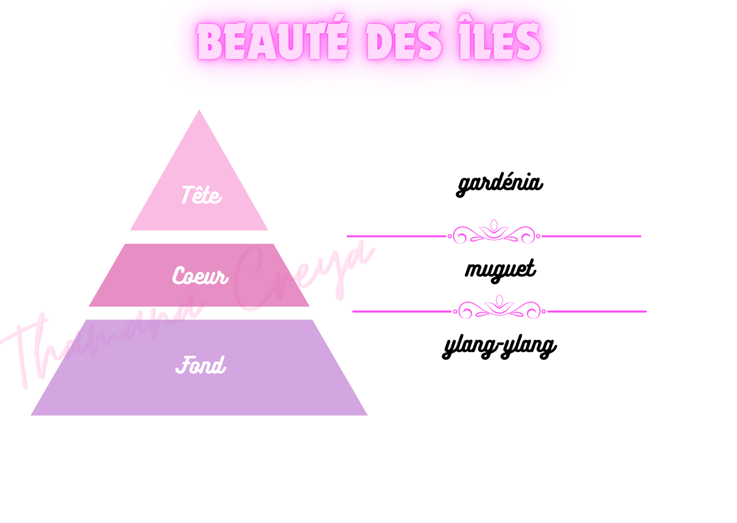 Beauté des îles