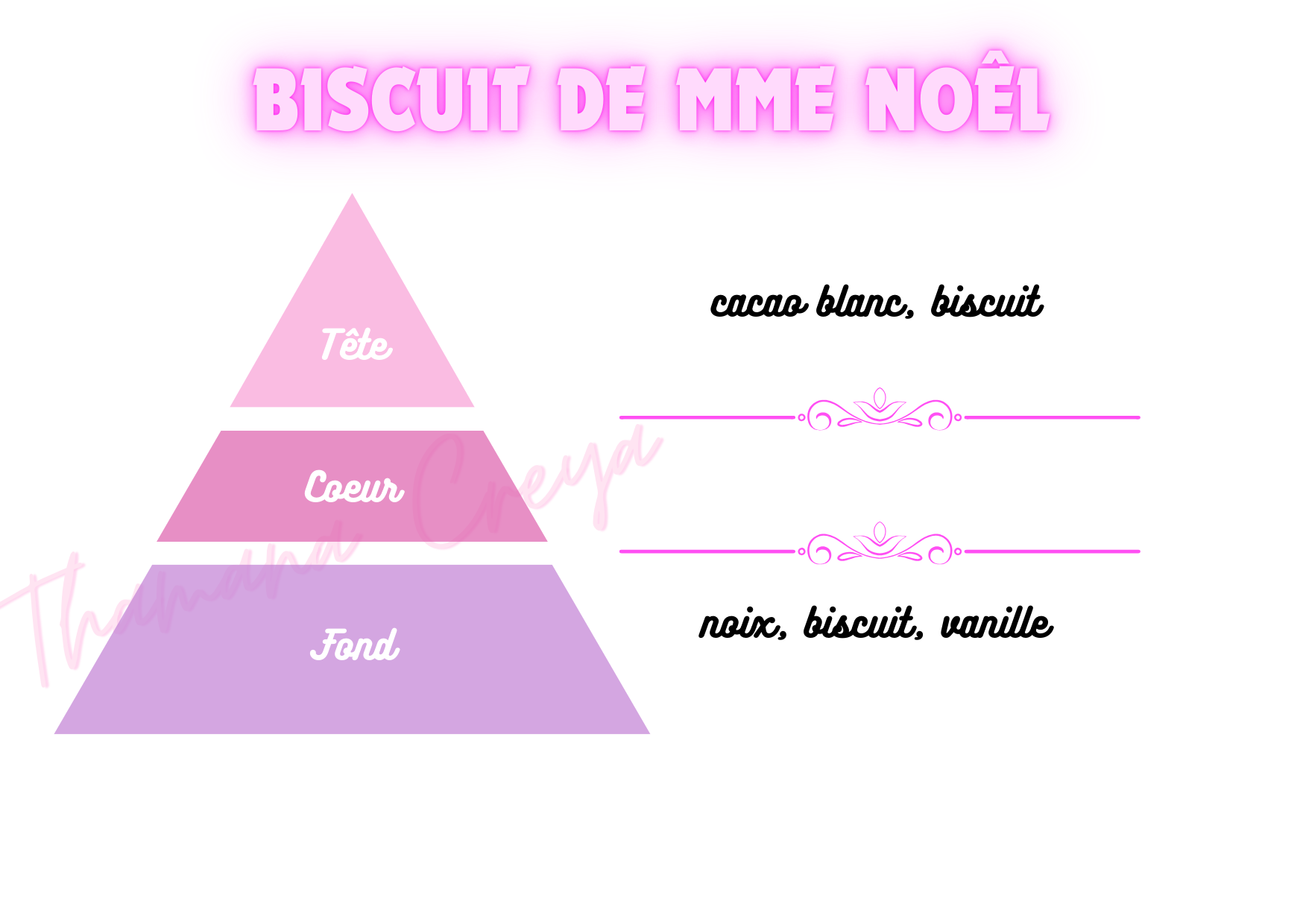 Biscuit de Madame Noël