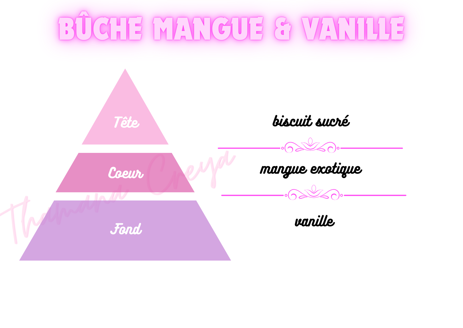 Bûche mangue & vanille