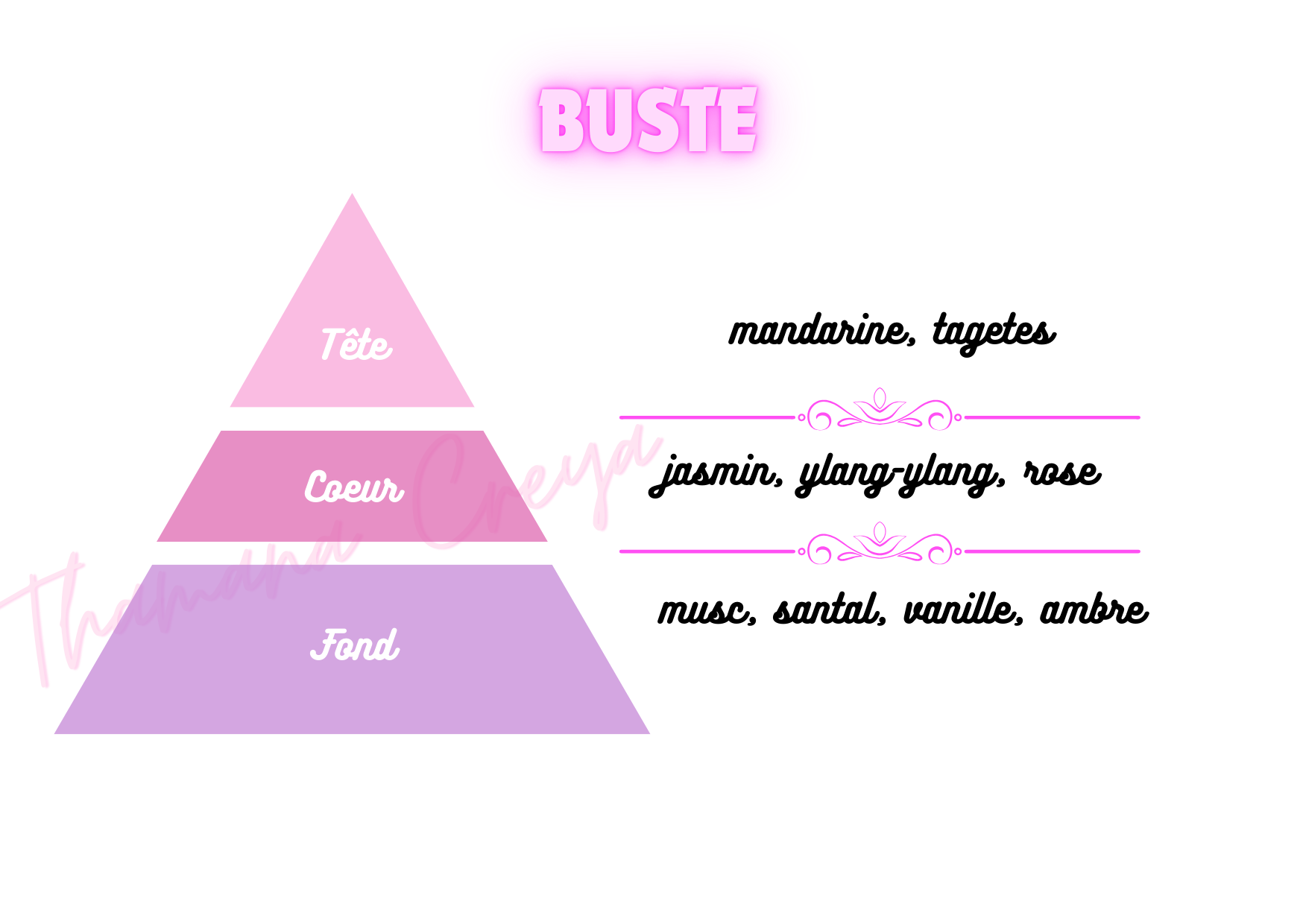 Buste