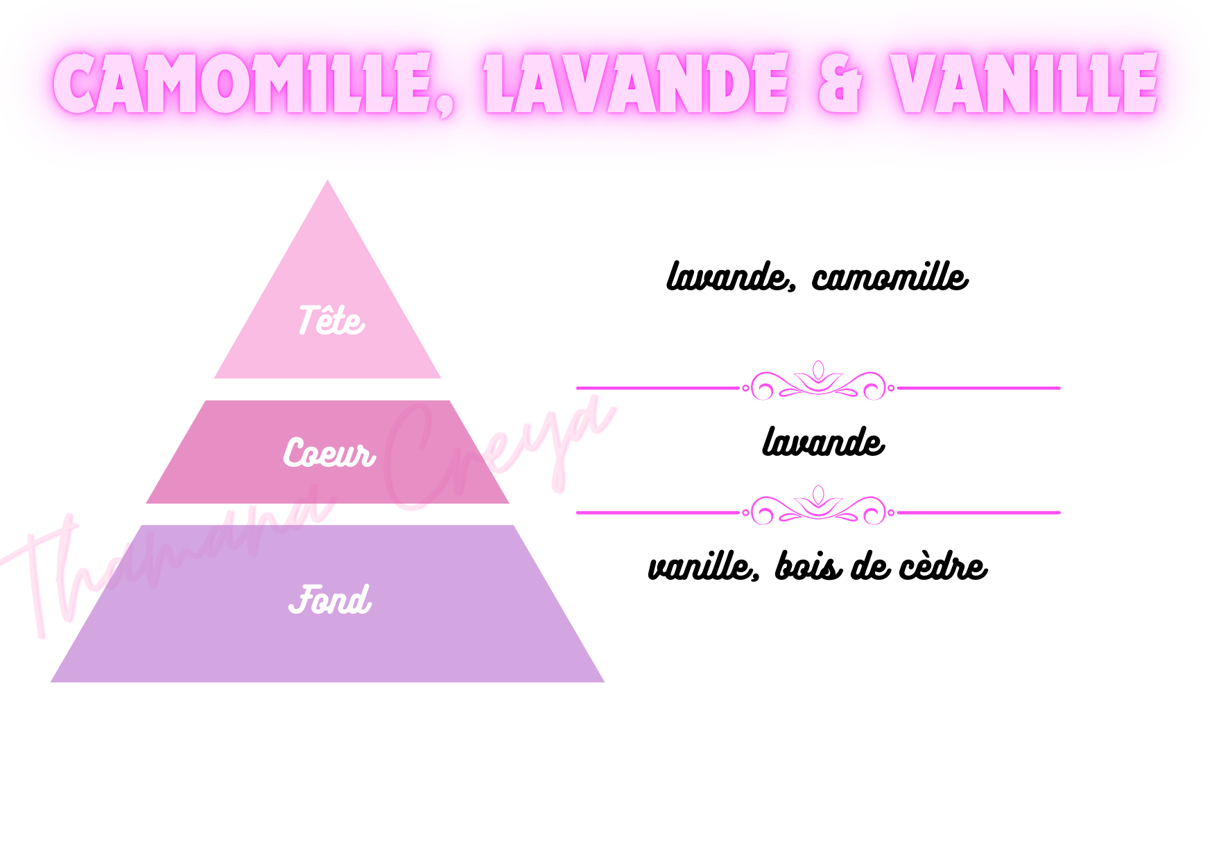 Camomille lavande et vanille
