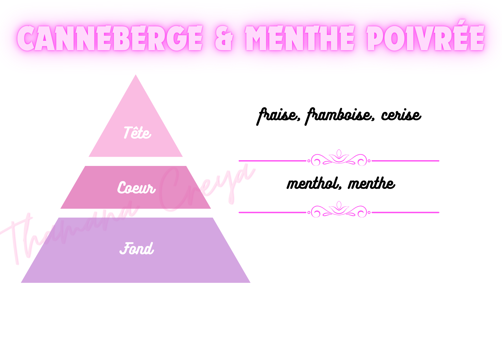 Canneberge & menthe poivrée