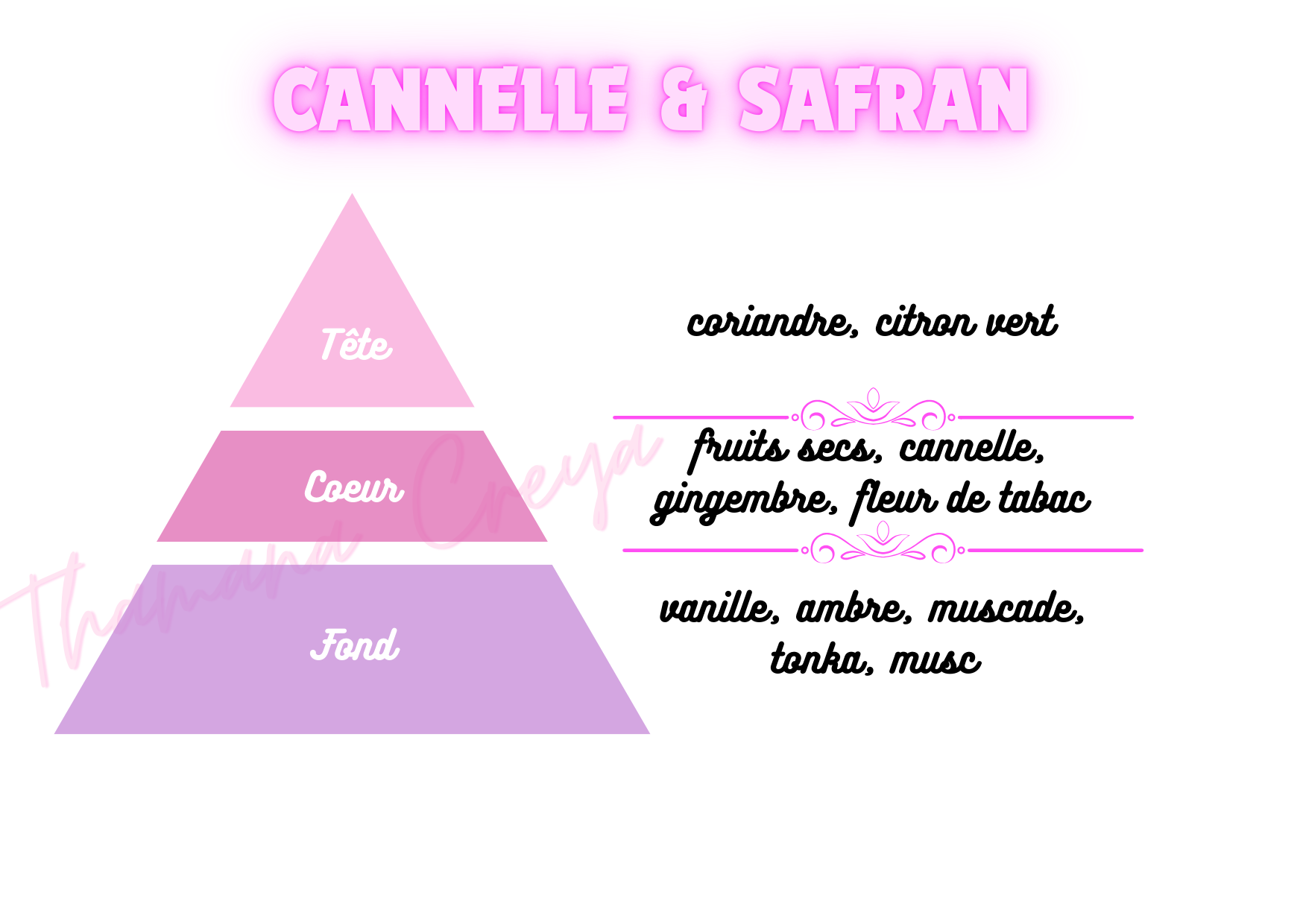 Cannelle & safran