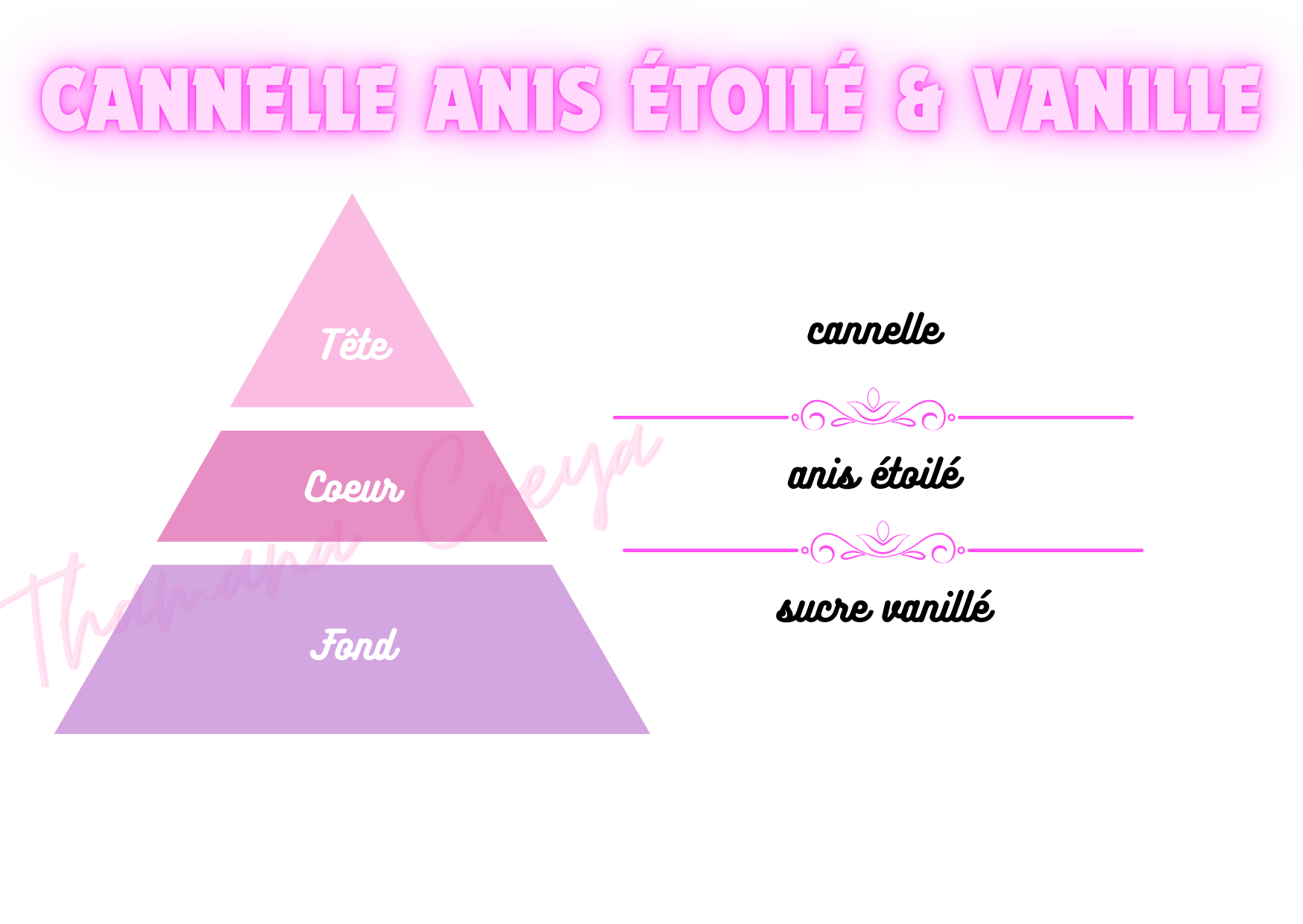 Cannelle anis étoilé & vanille