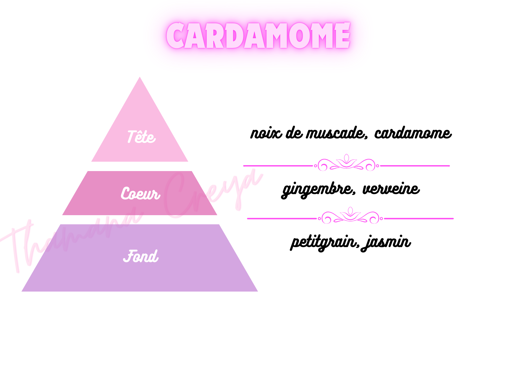 Cardamome