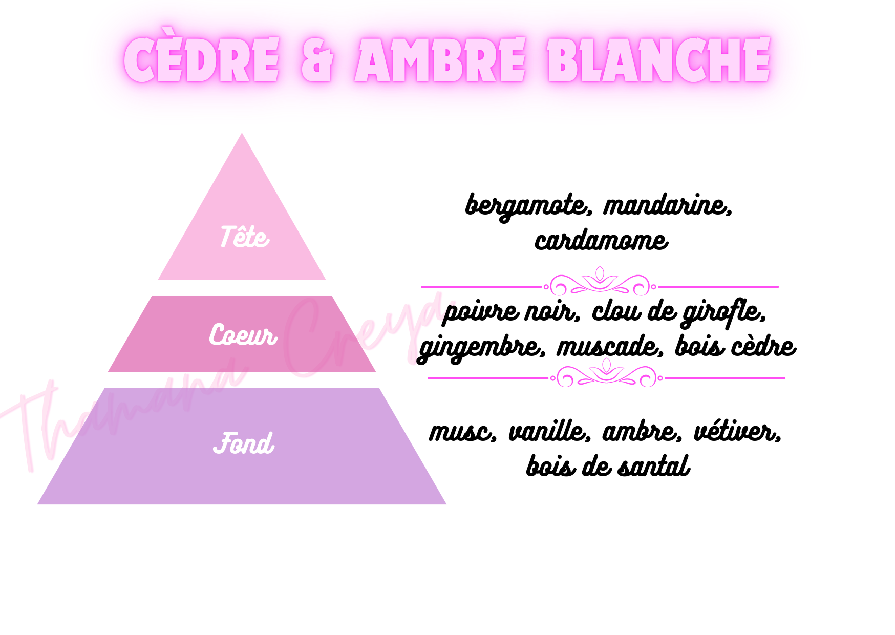 Cèdre & ambre blanche