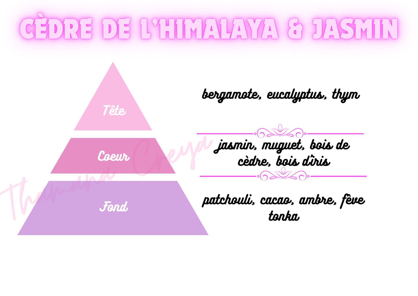 Cèdre de l'Himalaya & jasmin