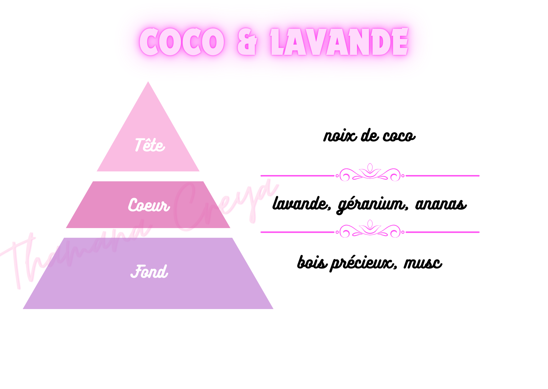 Coco et lavande