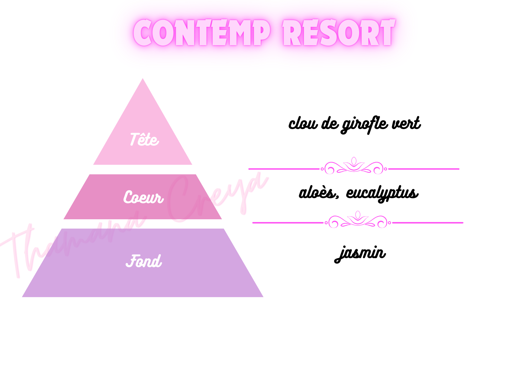 Contemp resort - DisneyWorld