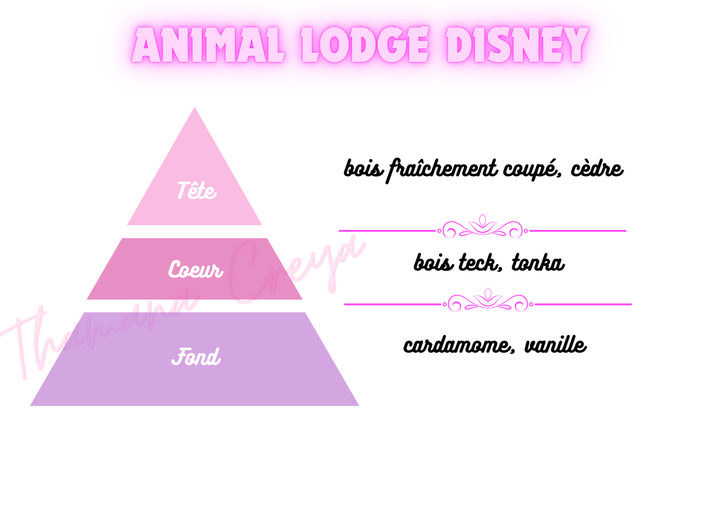 Animal lodge - DisneyWorld