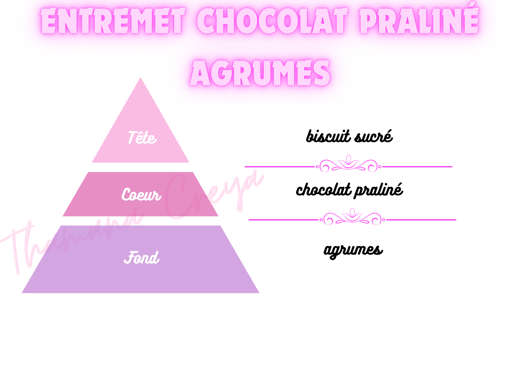 Entremet chocolat praliné agrumes