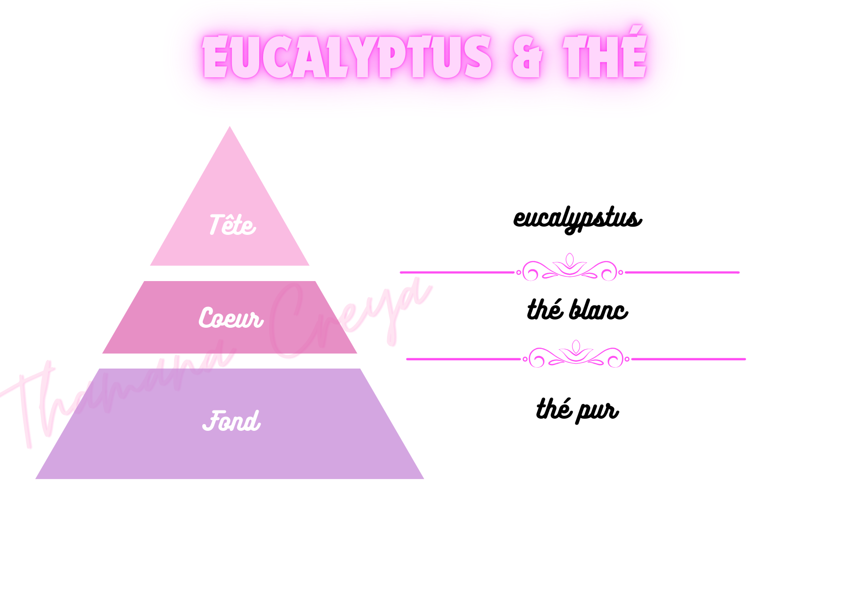 Eucalyptus & thé